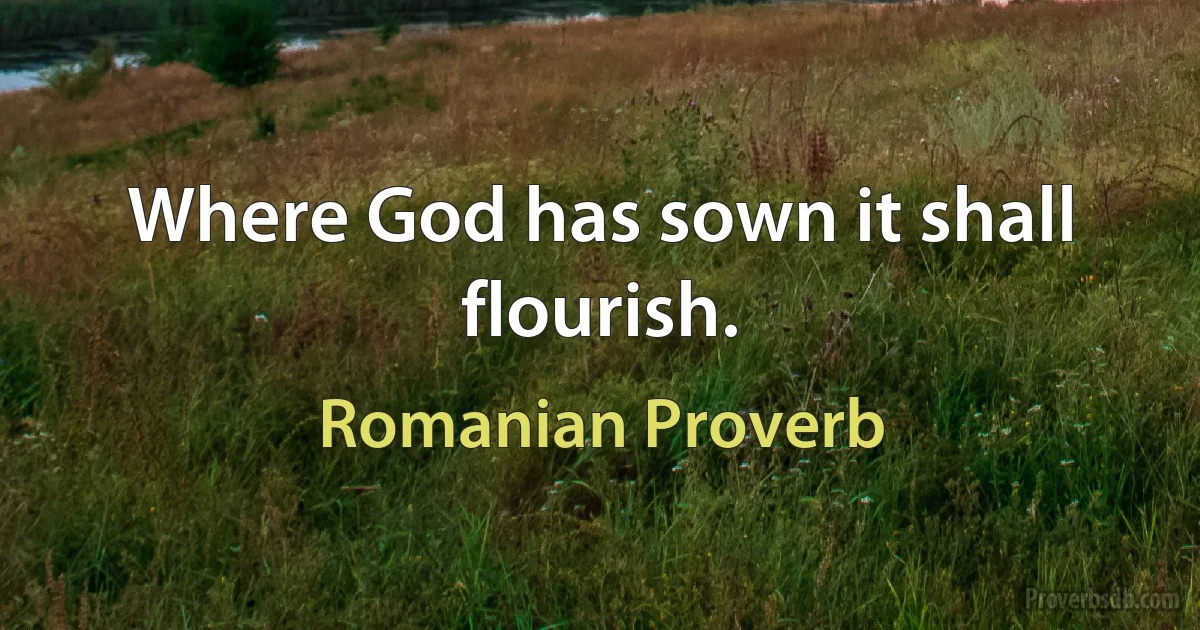 Where God has sown it shall flourish. (Romanian Proverb)