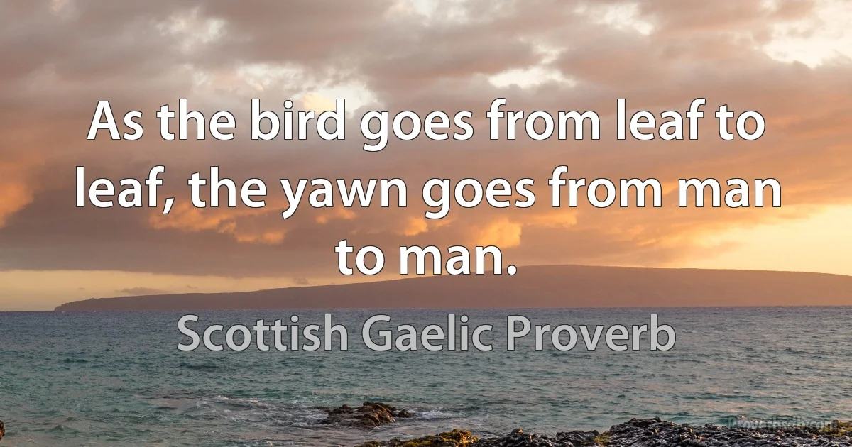 As the bird goes from leaf to leaf, the yawn goes from man to man. (Scottish Gaelic Proverb)