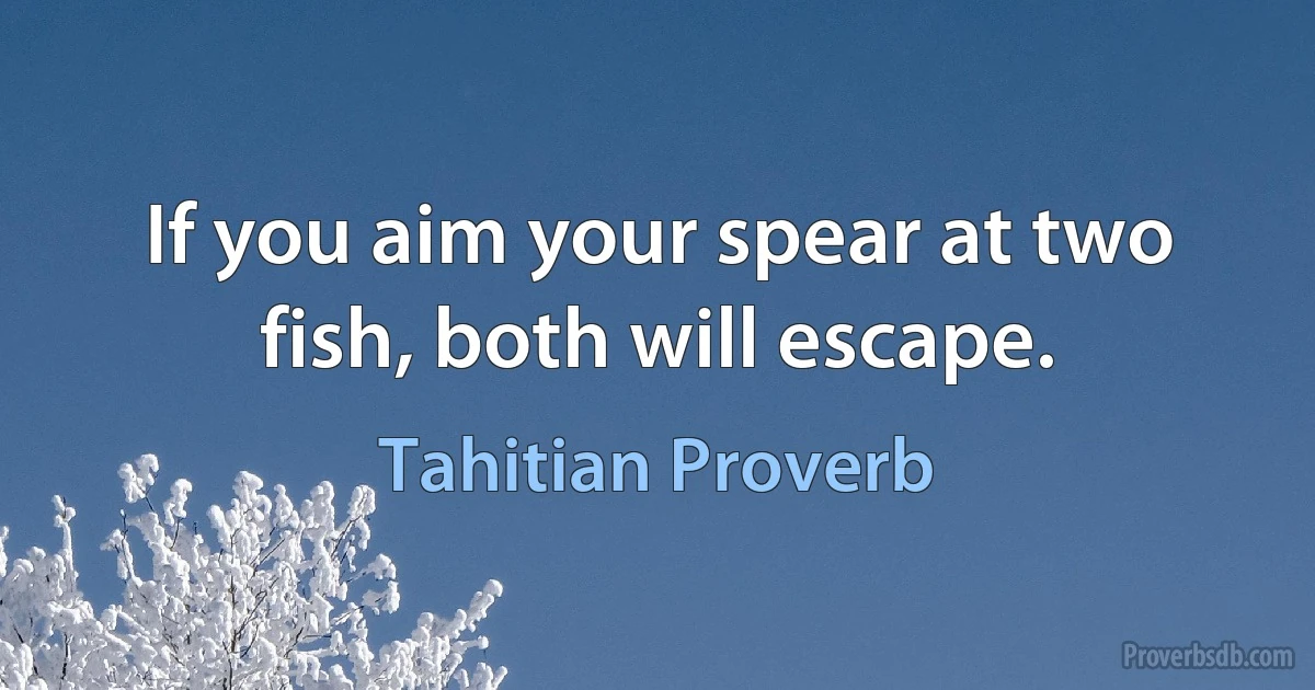 If you aim your spear at two fish, both will escape. (Tahitian Proverb)