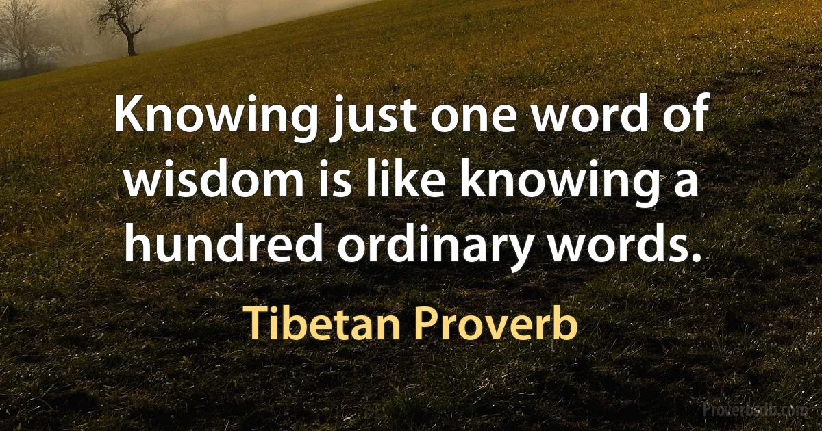 Knowing just one word of wisdom is like knowing a hundred ordinary words. (Tibetan Proverb)