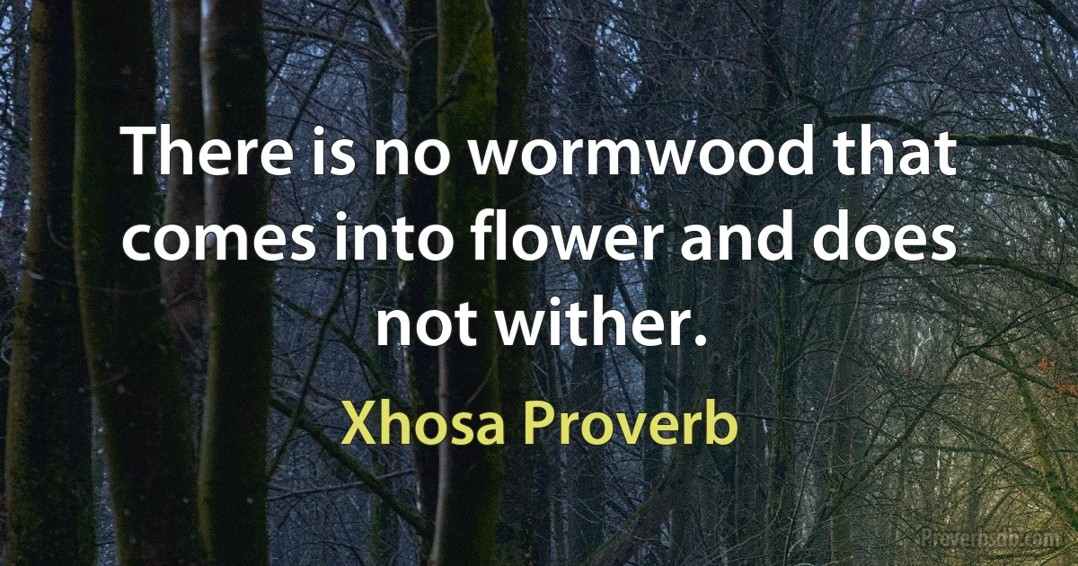 There is no wormwood that comes into flower and does not wither. (Xhosa Proverb)