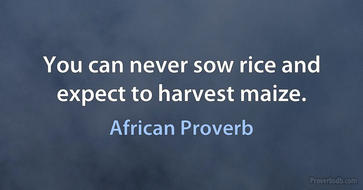 You can never sow rice and expect to harvest maize. (African Proverb)