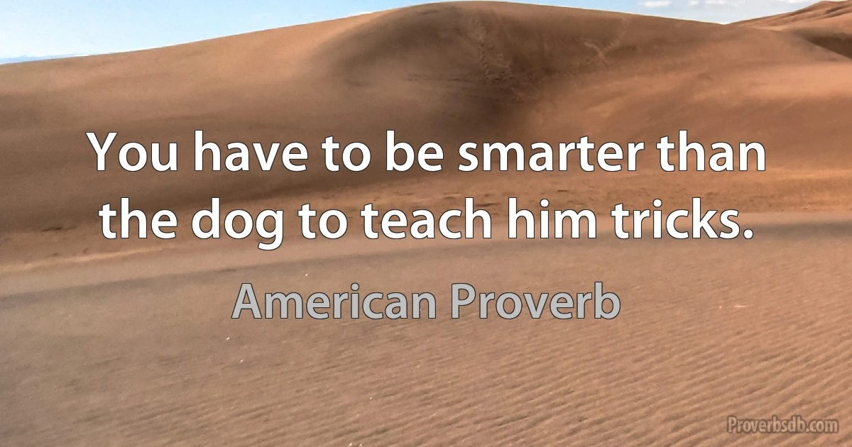 You have to be smarter than the dog to teach him tricks. (American Proverb)