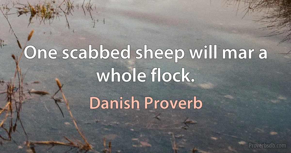 One scabbed sheep will mar a whole flock. (Danish Proverb)