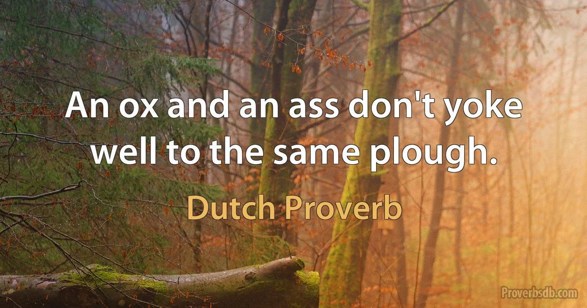 An ox and an ass don't yoke well to the same plough. (Dutch Proverb)