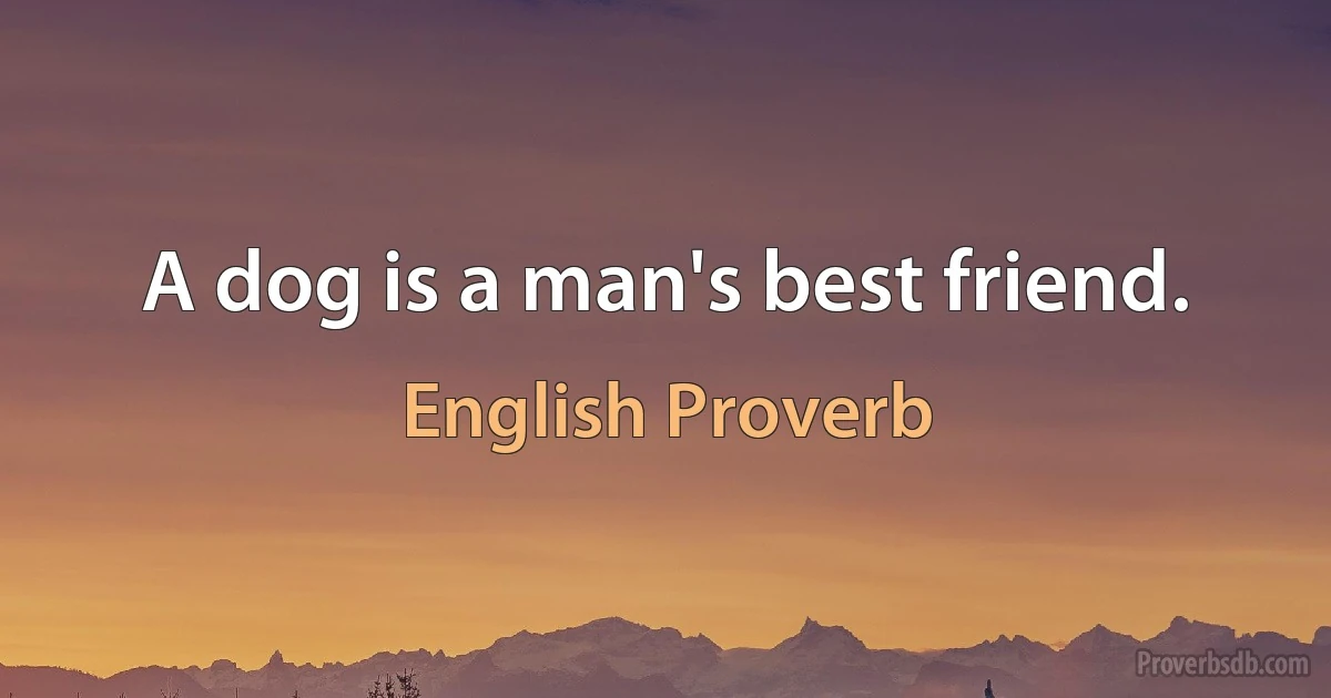 A dog is a man's best friend. (English Proverb)