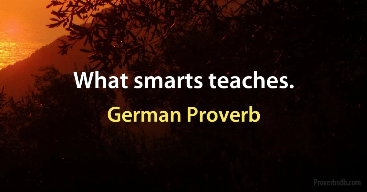 What smarts teaches. (German Proverb)