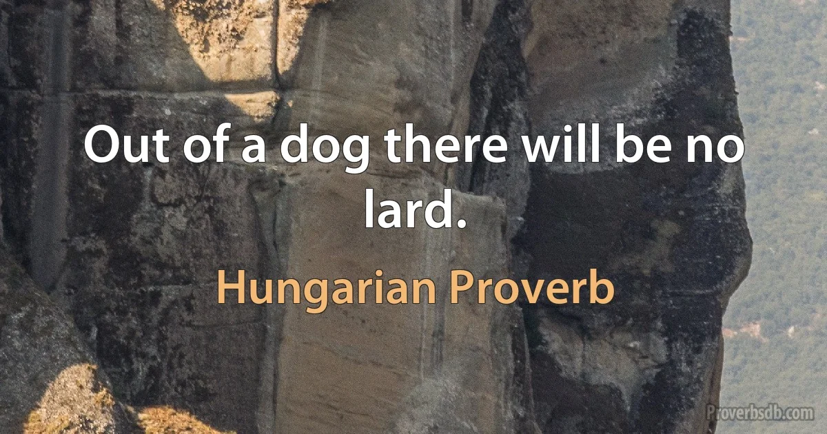 Out of a dog there will be no lard. (Hungarian Proverb)