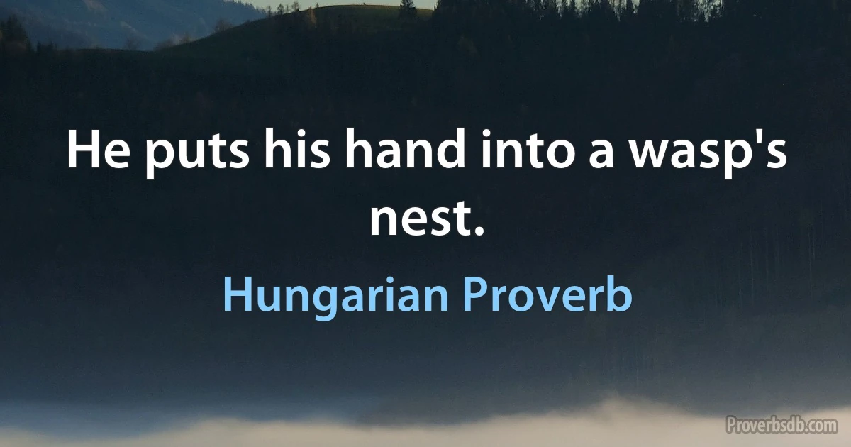 He puts his hand into a wasp's nest. (Hungarian Proverb)