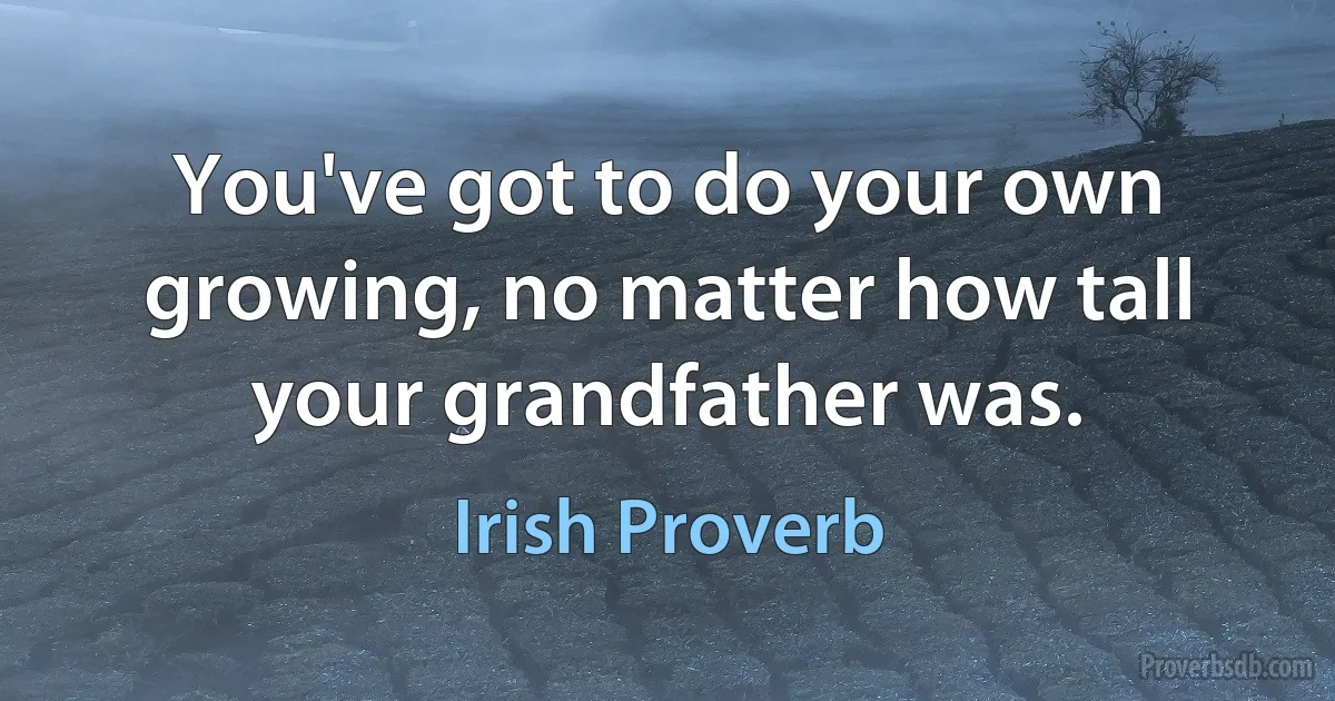 You've got to do your own growing, no matter how tall your grandfather was. (Irish Proverb)