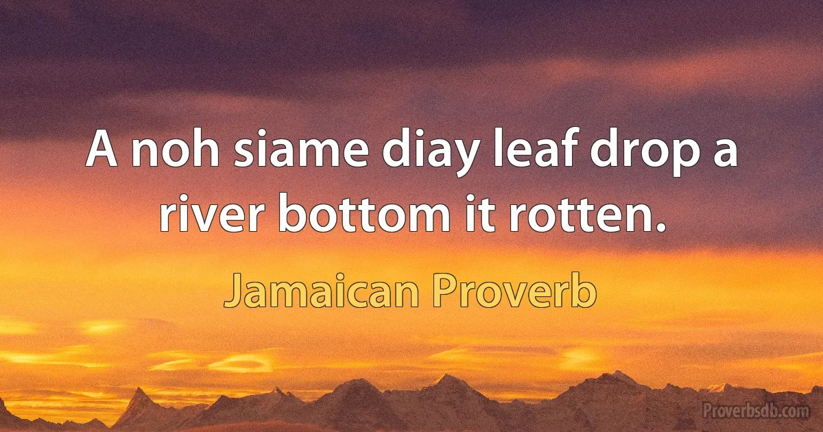 A noh siame diay leaf drop a river bottom it rotten. (Jamaican Proverb)