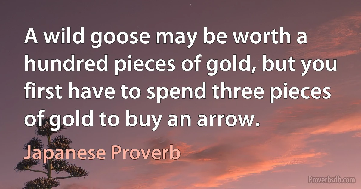 A wild goose may be worth a hundred pieces of gold, but you first have to spend three pieces of gold to buy an arrow. (Japanese Proverb)