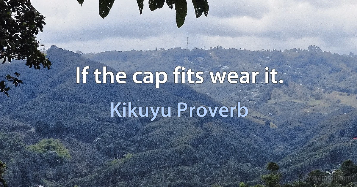 If the cap fits wear it. (Kikuyu Proverb)