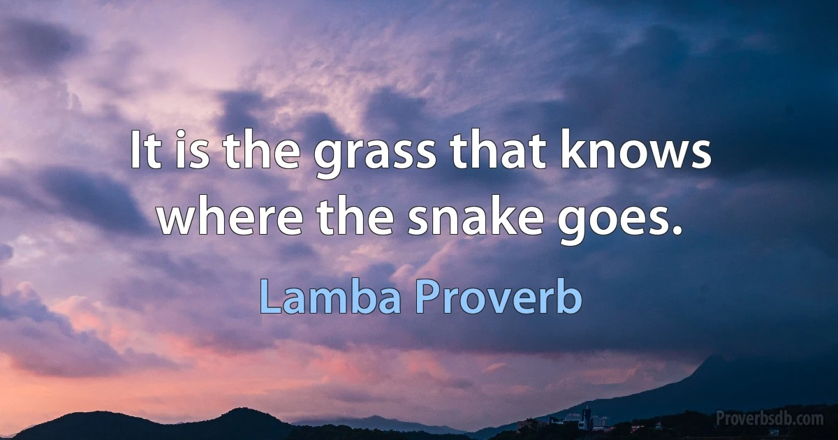 It is the grass that knows where the snake goes. (Lamba Proverb)