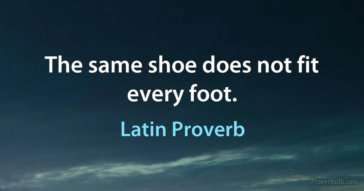 The same shoe does not fit every foot. (Latin Proverb)