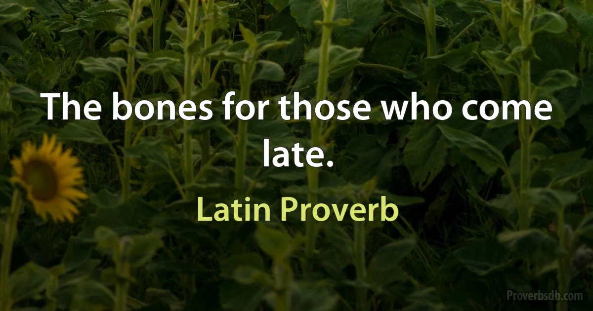 The bones for those who come late. (Latin Proverb)