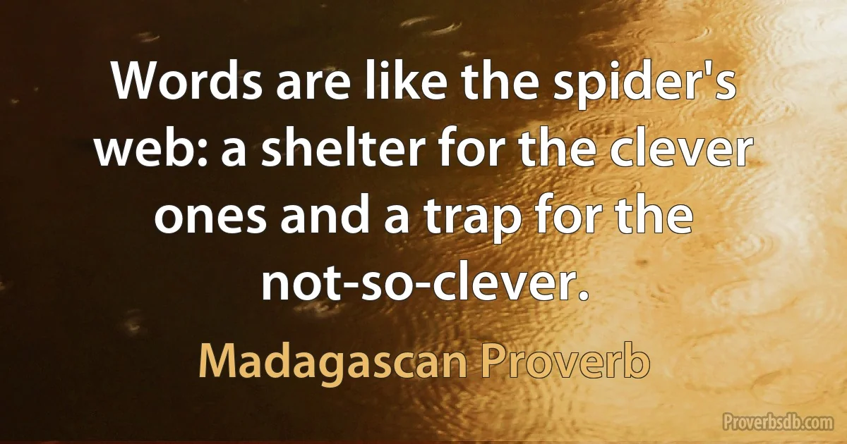 Words are like the spider's web: a shelter for the clever ones and a trap for the not-so-clever. (Madagascan Proverb)