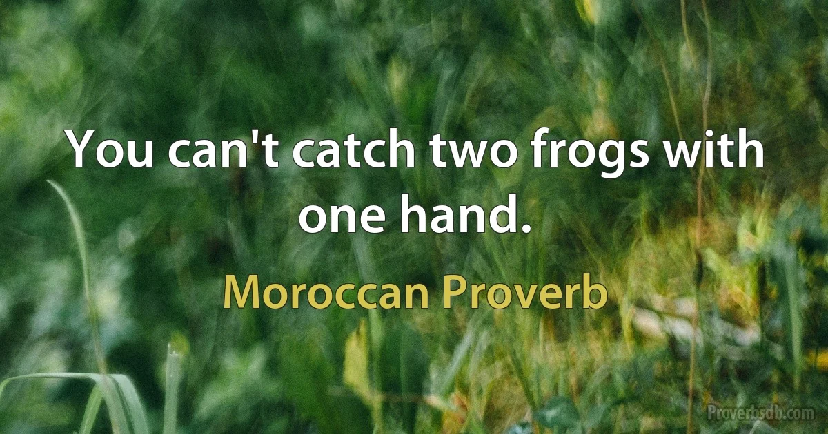 You can't catch two frogs with one hand. (Moroccan Proverb)