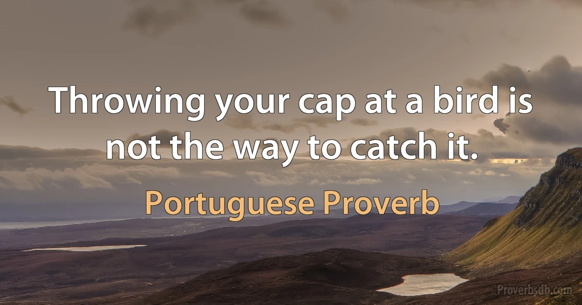 Throwing your cap at a bird is not the way to catch it. (Portuguese Proverb)