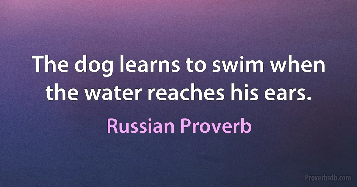 The dog learns to swim when the water reaches his ears. (Russian Proverb)