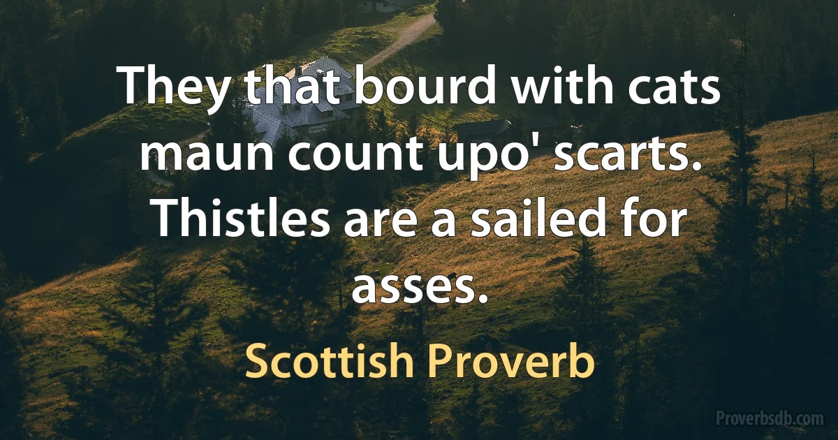 They that bourd with cats maun count upo' scarts. Thistles are a sailed for asses. (Scottish Proverb)