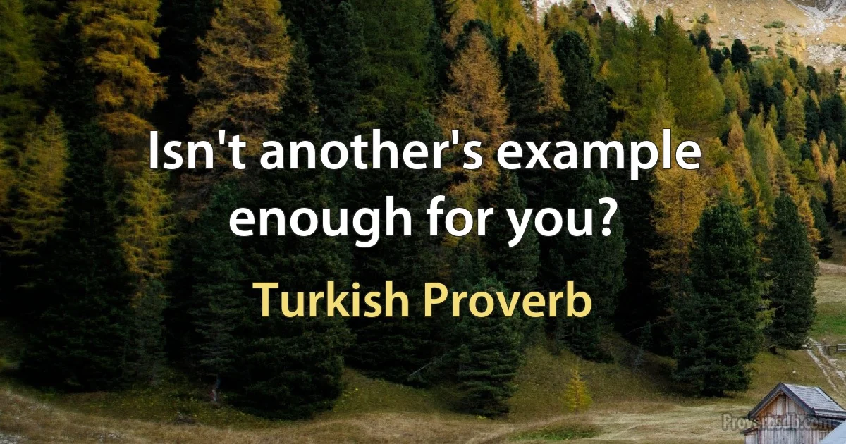 Isn't another's example enough for you? (Turkish Proverb)