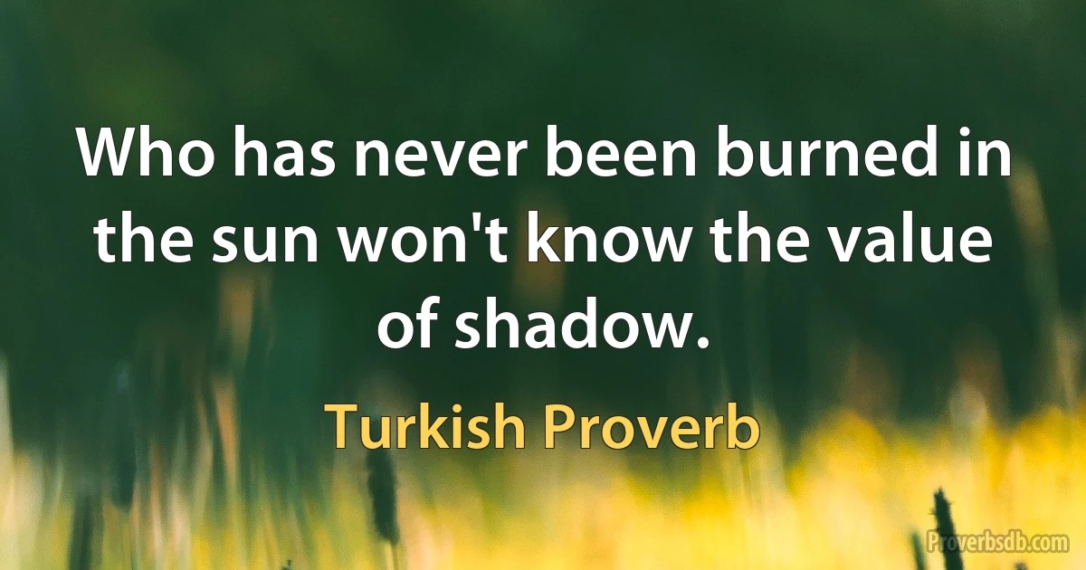 Who has never been burned in the sun won't know the value of shadow. (Turkish Proverb)