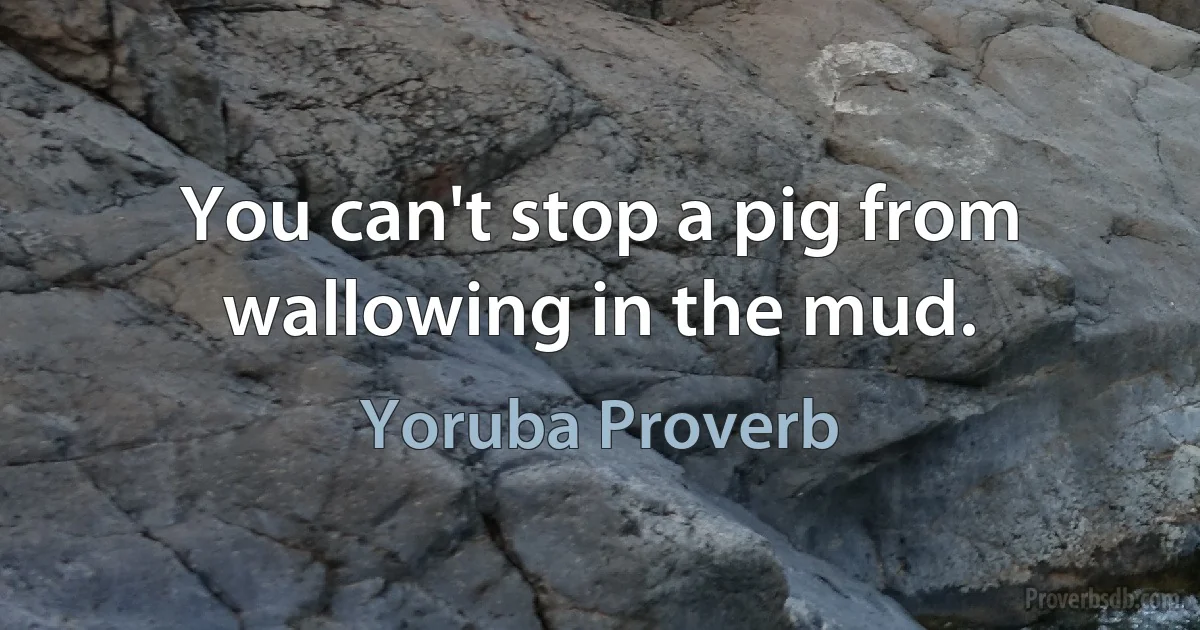 You can't stop a pig from wallowing in the mud. (Yoruba Proverb)