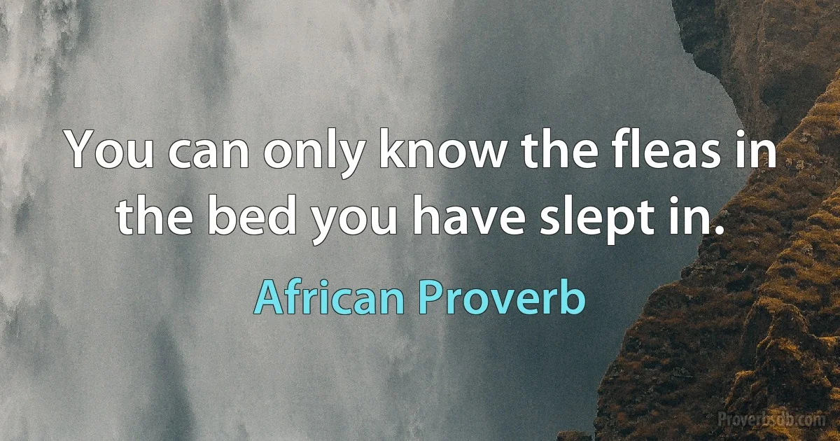 You can only know the fleas in the bed you have slept in. (African Proverb)