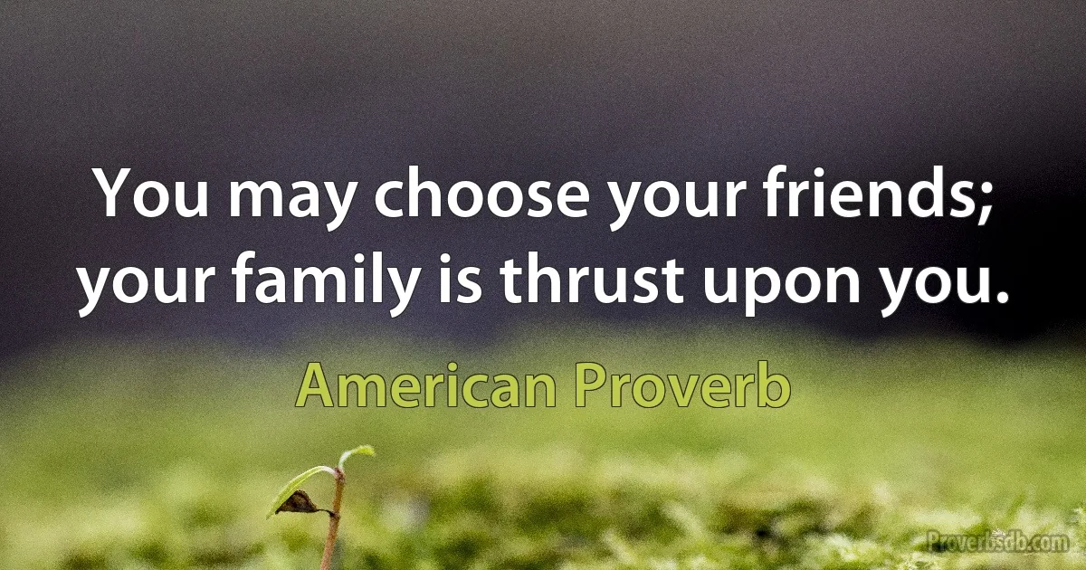 You may choose your friends; your family is thrust upon you. (American Proverb)