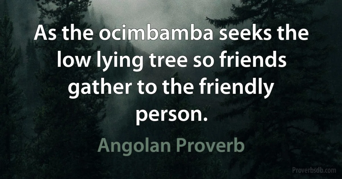 As the ocimbamba seeks the low lying tree so friends gather to the friendly person. (Angolan Proverb)