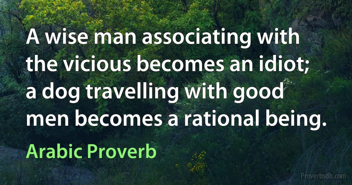 A wise man associating with the vicious becomes an idiot; a dog travelling with good men becomes a rational being. (Arabic Proverb)