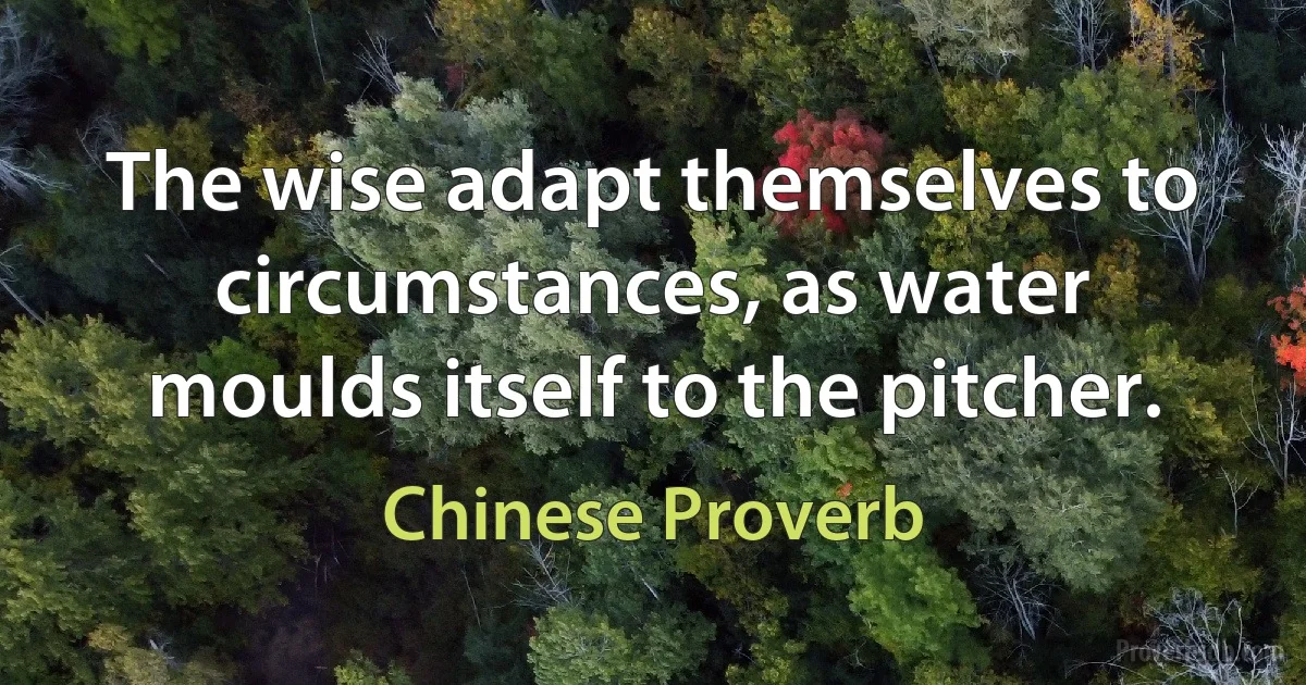 The wise adapt themselves to circumstances, as water moulds itself to the pitcher. (Chinese Proverb)