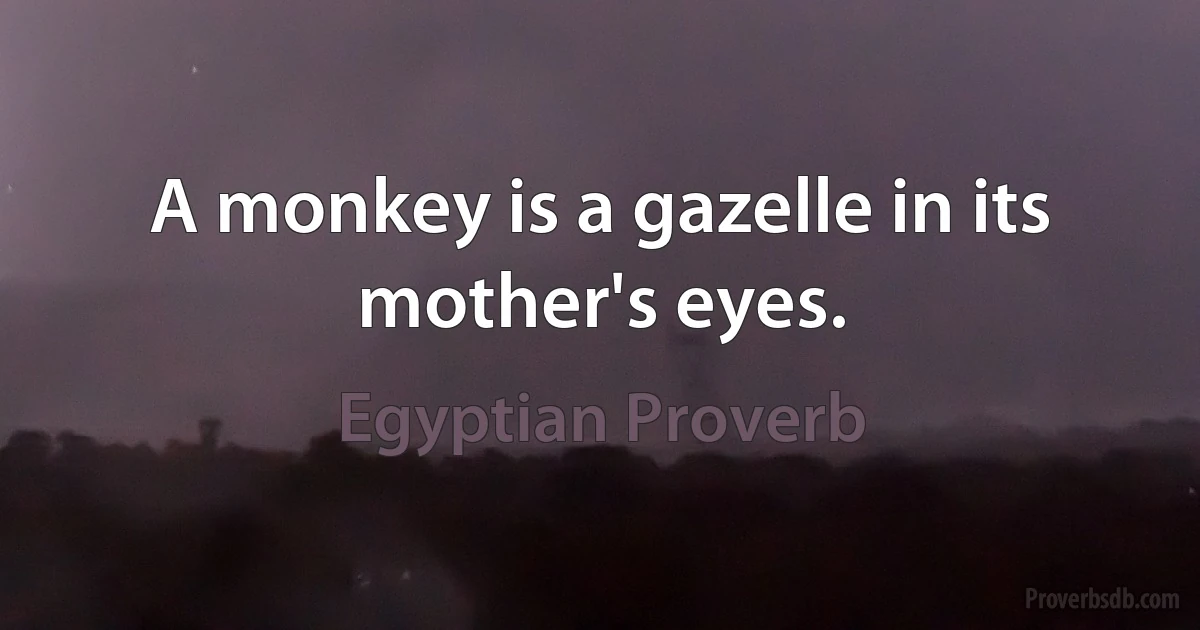 A monkey is a gazelle in its mother's eyes. (Egyptian Proverb)