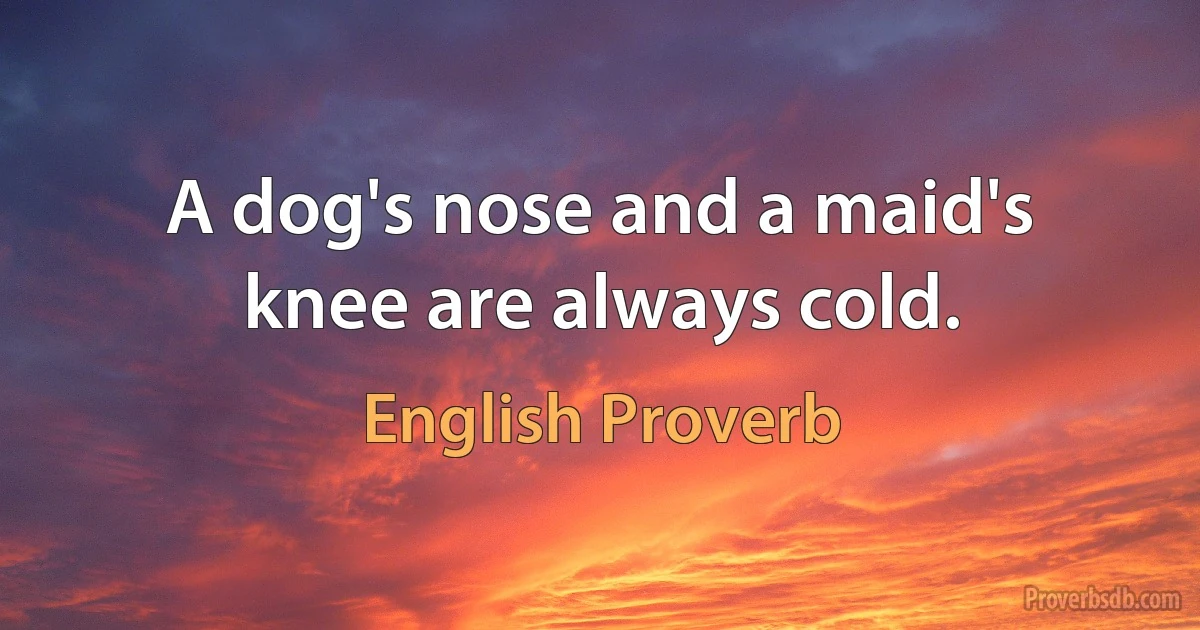 A dog's nose and a maid's knee are always cold. (English Proverb)