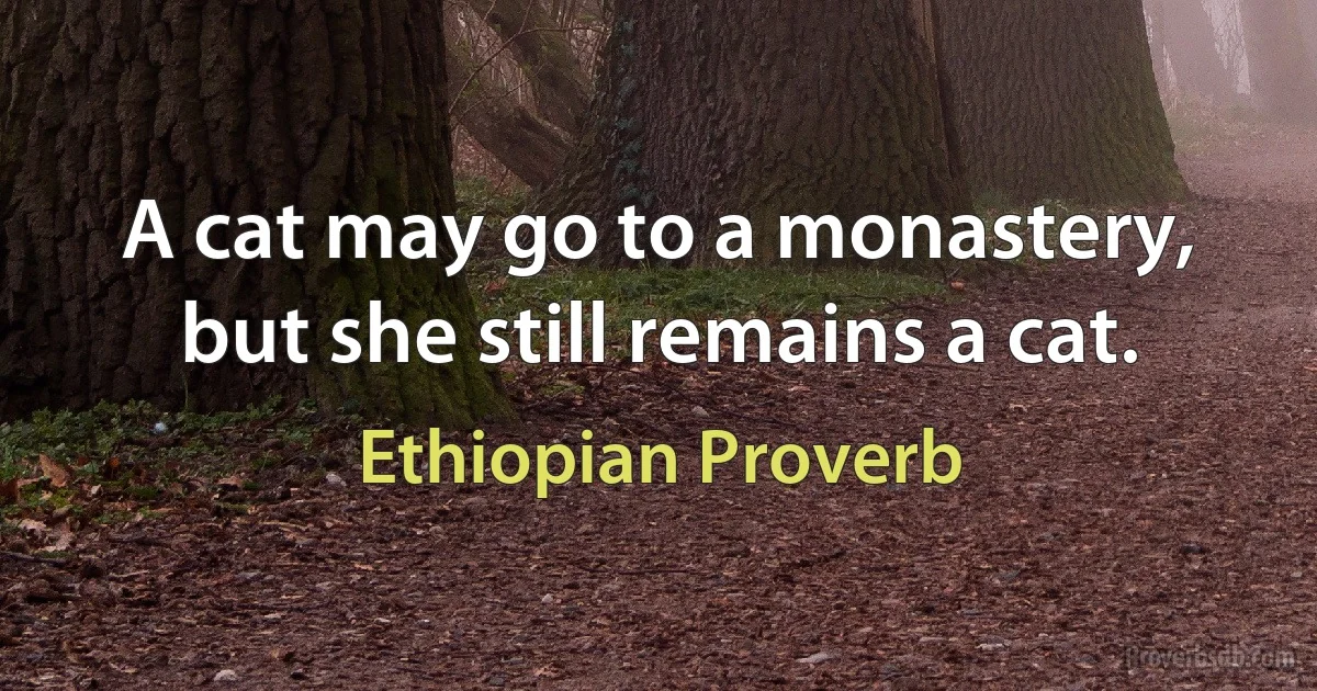 A cat may go to a monastery, but she still remains a cat. (Ethiopian Proverb)