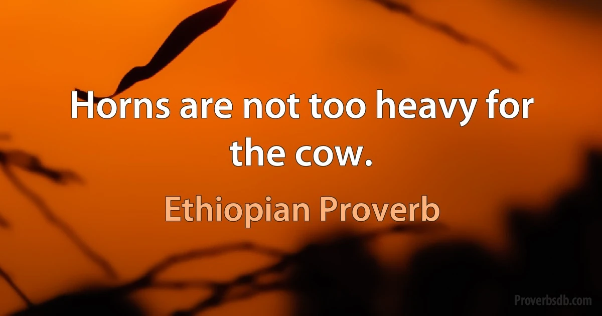 Horns are not too heavy for the cow. (Ethiopian Proverb)