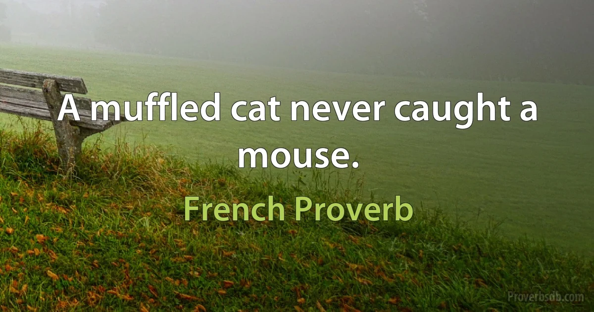 A muffled cat never caught a mouse. (French Proverb)