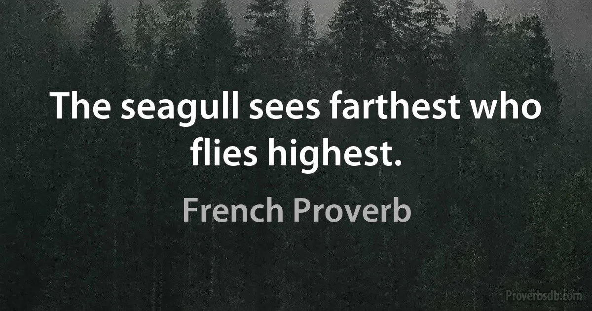 The seagull sees farthest who flies highest. (French Proverb)