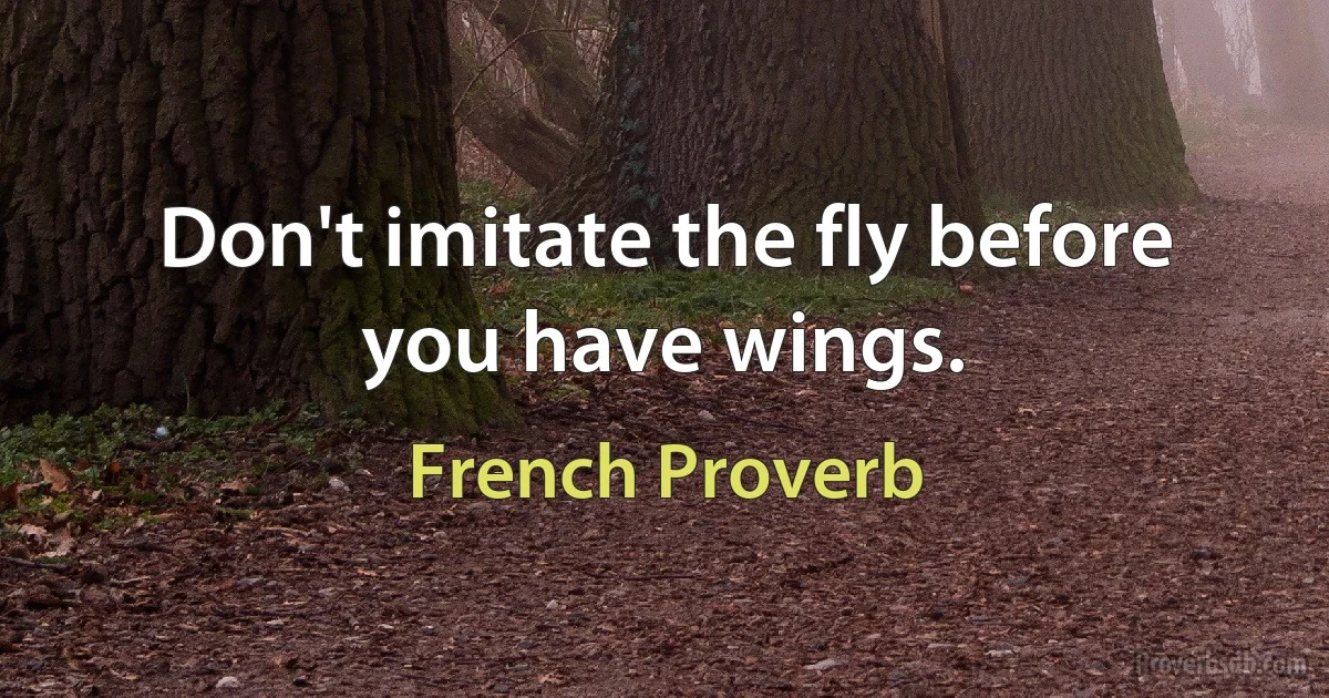 Don't imitate the fly before you have wings. (French Proverb)