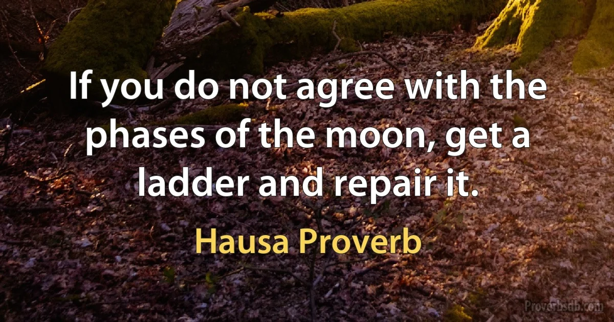 If you do not agree with the phases of the moon, get a ladder and repair it. (Hausa Proverb)