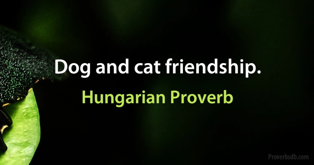 Dog and cat friendship. (Hungarian Proverb)