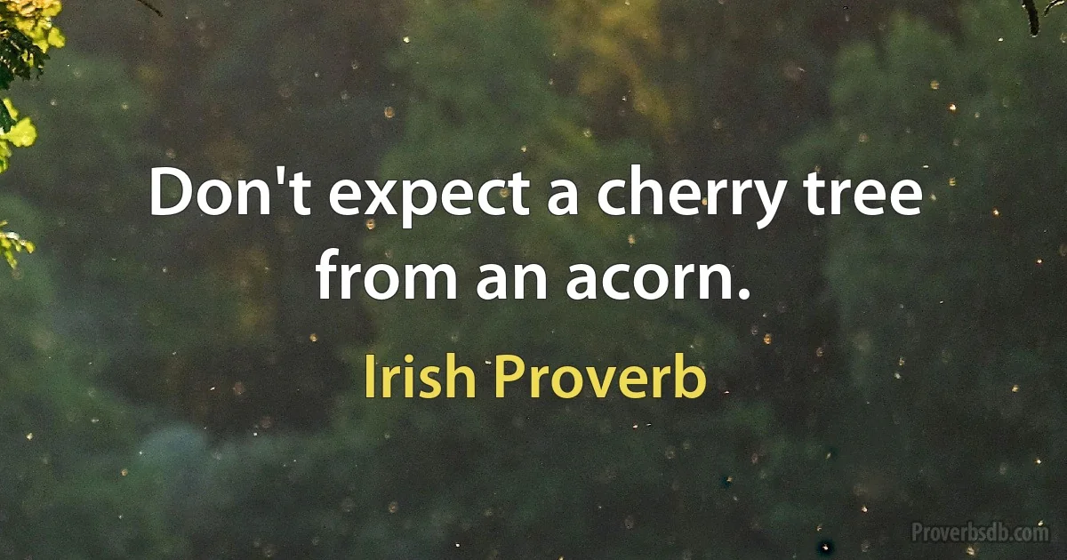 Don't expect a cherry tree from an acorn. (Irish Proverb)