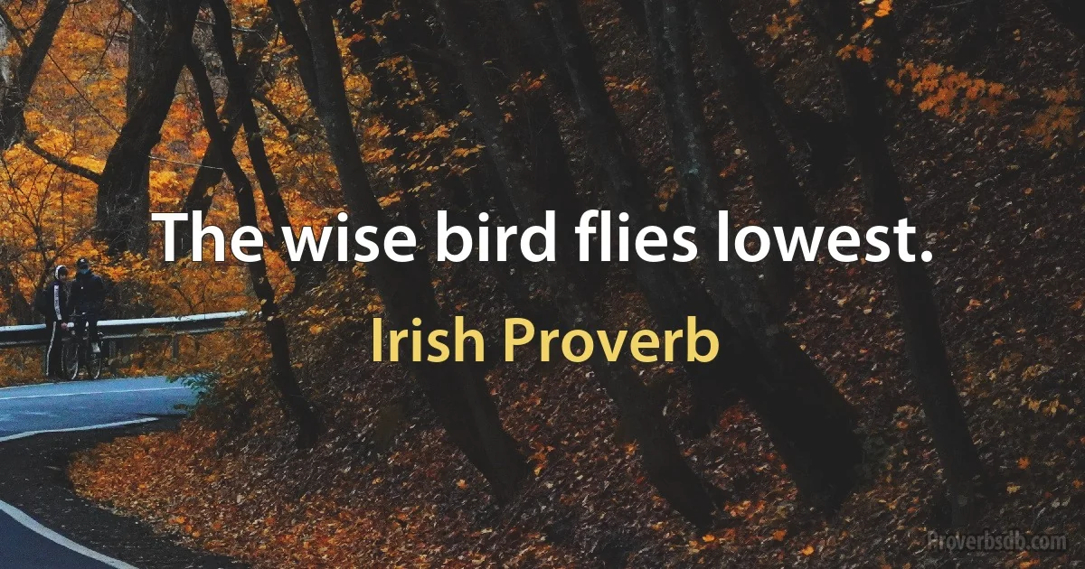 The wise bird flies lowest. (Irish Proverb)