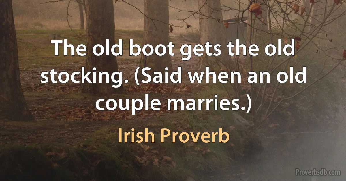 The old boot gets the old stocking. (Said when an old couple marries.) (Irish Proverb)