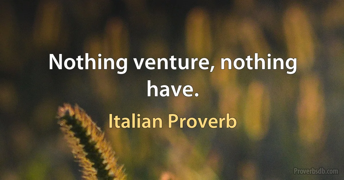 Nothing venture, nothing have. (Italian Proverb)