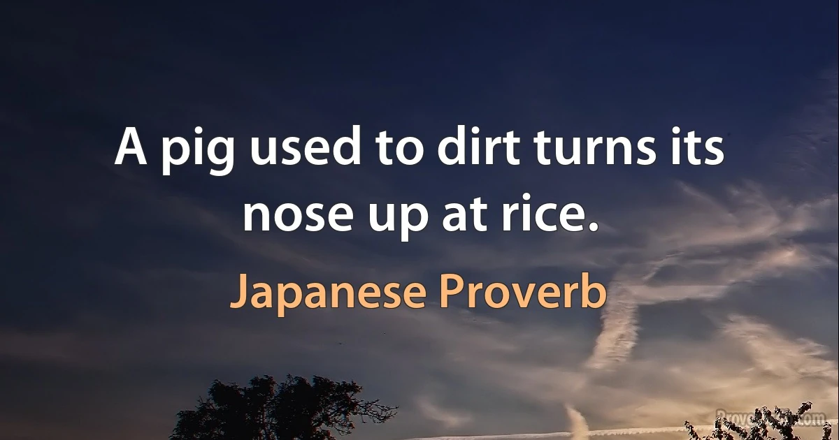 A pig used to dirt turns its nose up at rice. (Japanese Proverb)