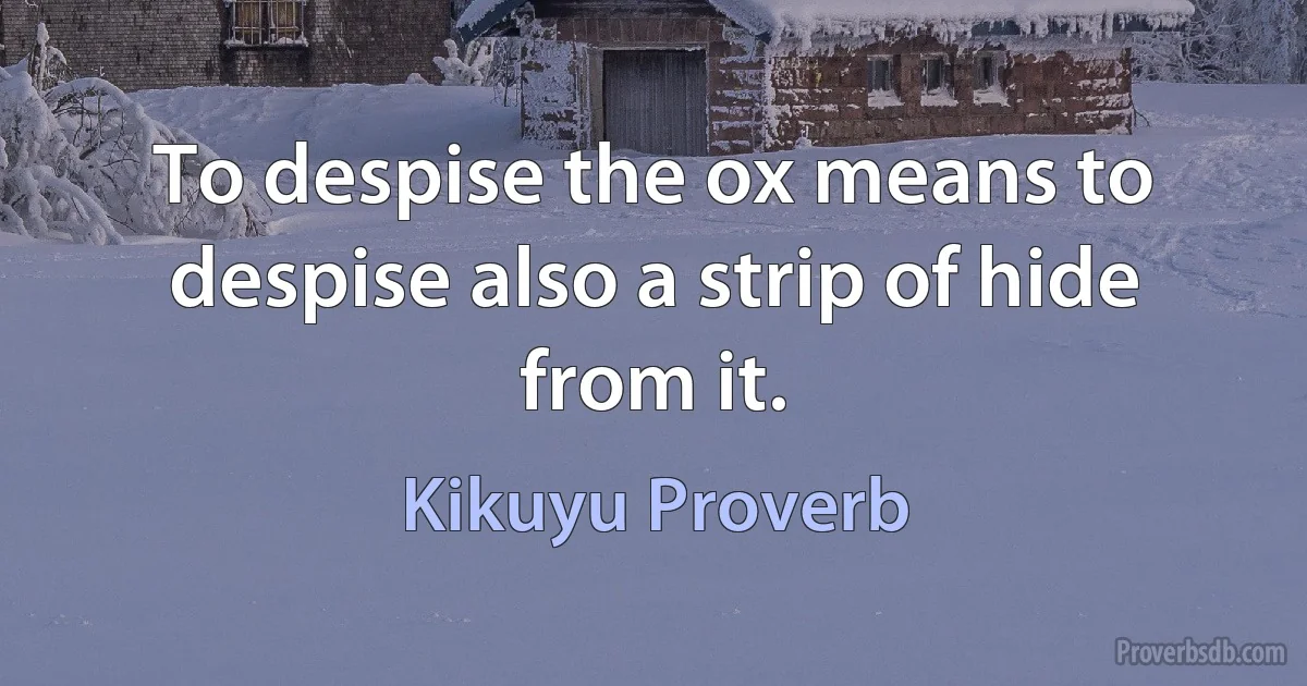 To despise the ox means to despise also a strip of hide from it. (Kikuyu Proverb)