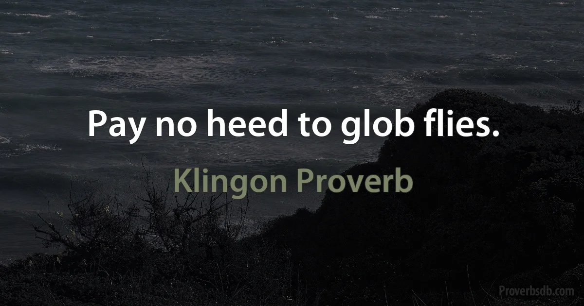 Pay no heed to glob flies. (Klingon Proverb)