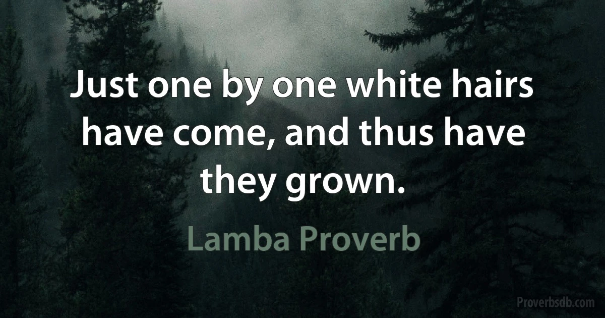 Just one by one white hairs have come, and thus have they grown. (Lamba Proverb)